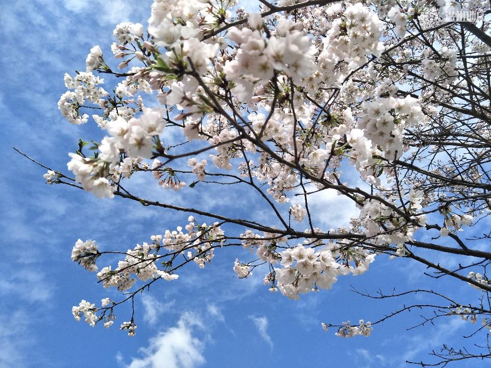 TIM图片20190329142049.jpg TIM图片20190329142049.jpg